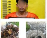 Polsek Bukit Kapur Jajaran Polres Dumai Berhasil Mengungkap Tindak Pidana Pencurian