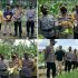 Permalink ke Kapolres Kampar : Gerakan Jaga Kampung Program Ketahanan Pangan Di Desa Laboy Jaya Sukses