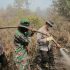 Permalink ke Kapolda Riau Gencarkan Padamkan Api Karhutla Di Pulau Merbau dan Bengkalis