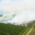 Permalink ke Studi Harvard: 91.600 Orang Tewas Akibat Kebakaran Hutan Indonesia