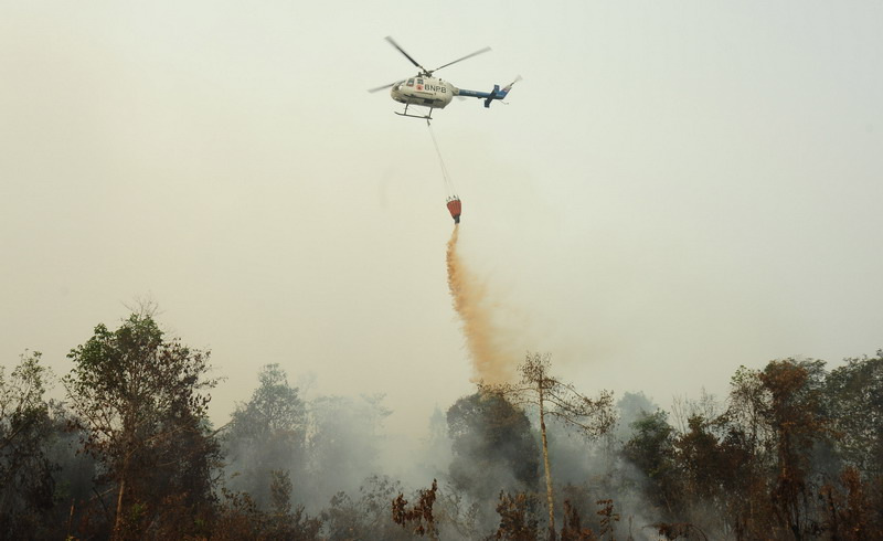 Permalink ke Empat Helikopter Dikerahkan Padamkan Api di Hutan Lindung Bukit Suligi