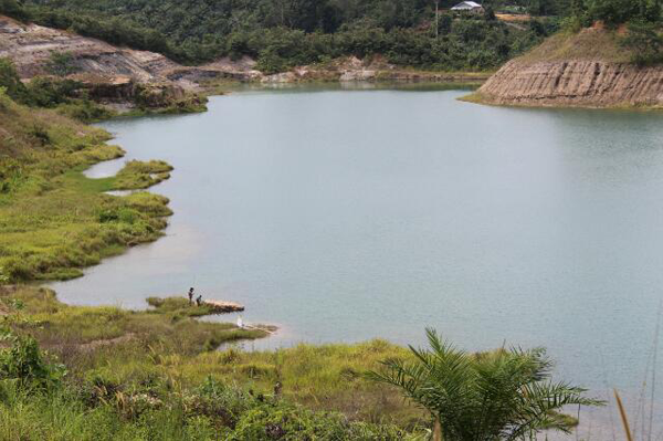 Permalink ke Merusak Lingkungan, LBH Pekanbaru Laporkan PT Riau Bara Harum ke Polda
