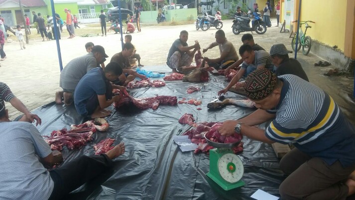 Permalink ke Ditengah Masa Pandemi Covid-19 Jumlah Hewan Kurban  Di Masjid Thoriq Al-Janah Kelurahan Tuah Madani Meningkat.