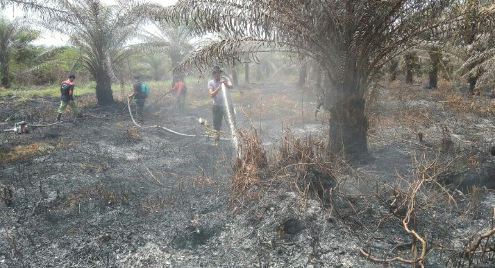 Permalink ke Temukan Kebakaran Lahan Saat Patroli, Bhabinkamtibmas dan MPA Karya Indah Lakukan Pemadaman