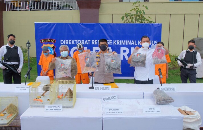 Permalink ke Polda Riau Ungkap Tindak Kejahatan Perdagangan Ilegal Hewan Dilindungi