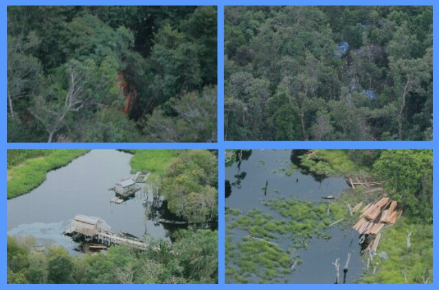 Permalink ke Tanggapi Issue Deforestasi dan Kerusakan Lingkungan Hidup, Kapolda Riau Bertekad Negara Tidak Boleh Kalah dari Kejahatan, Hutan Harus Diselamatkan.