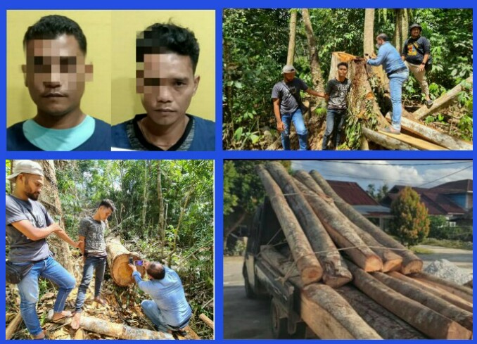 Permalink ke Atensi Perintah Kapolda Riau, Polres Kampar Tangkap 2 Pelaku Illegal Logging di Wilayah Kuok