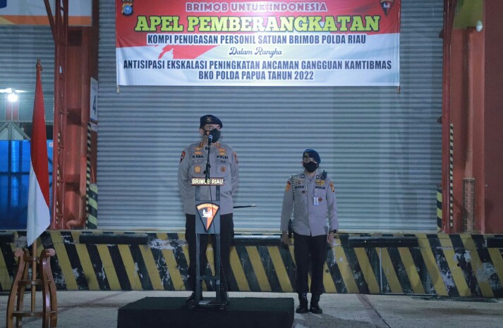 Permalink ke Lepas Keberangkatan 105 Personel Brimob Polda Riau BKO ke Papua, Kapolda: Tetap Disiplin dan Humanis
