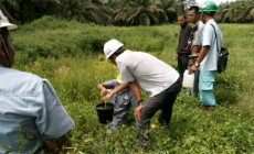 DLH Pelalawan Janji Tuntut PT Gandahera  jika Limbahnya Terbukti Mencemari Sungai