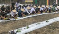 Permalink ke Pemuda Tani HKTI Pekanbaru Dikomandoi Williams Hagai Marpaung Sukses Buka Kebun Labu Madu di Kulim, Gerakkan Masyarakat Kelola Lahan Tidur