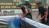 Permalink ke Pangdam 1/BB Kunker Dan Panen Ikan Di Dumai