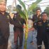 Jembatan Tak Kunjung Diperbaiki, LLMB Sungai Sembilan Lakukan Aksi Penanaman Pohon Pisang
