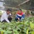 Tumbuhkan Kepedulian Dan Kecintaan Terhadap Lahan Gambut, PT KPI Sei Pakning Selenggarakan Seminal Nasional