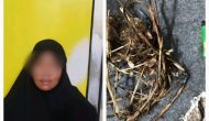 Permalink ke Penegakan Hukum Terhadap Pelaku Pembakaran Hutan