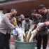 Kapolres Dumai AKBP Dhovan Oktavianton S, H, S, I, K, M,Si, Pelaksanaan Pres Conferesce Dan Pemusnahan Barang Bukti