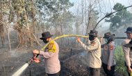 Permalink ke Kapolres Pelalawan Pimpin Langsung Pemadaman dan Pendinginan Karhutla di Desa Kuala Terusan Kecamatan Pangkalan Kerinci.