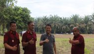 Permalink ke Dukung Ketahanan Pangan Kampar, Pj Bupati Kampar Apresiasi Penanaman Jagung di LP Kelas II A Bangkinang.