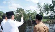 Permalink ke Perjuangan Wardan dan PLN Hadirkan Listrik 24 Jam di Kecamatan Teluk Belengkong dan Pelangiran