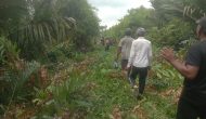 Permalink ke Kegiatan Unik Dua Desa Goro Gabungan, Desa Tanjung Melati Dan Desa Sungai Piyai Kecamatan Kuindra Inhil