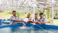 Permalink ke Bekerja Sama Dengan Koperasi,Kepala Lapas IIA Bangkinang Taburi 6.000 Benih Ikan Nila Di Kolam Lapas Bangkinang