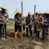Polsek Bukit Kapur Melaksanakan Kegiatan Penanaman Benih Jagung