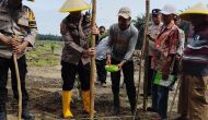 Permalink ke Polsek Bukit Kapur Melaksanakan Kegiatan Penanaman Benih Jagung