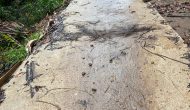Permalink ke Di Duga Pekerjaaan Jalan Poros Desa Bagan Jaya Kecamatan Pelangiran Terkesan Tidak Ada Pemilik Karena Tidak Memasang Papan Plank Proyek