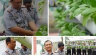 Permalink ke Rutan Dumai Panen Pakcoy Hasil Program Pembinaan WBP