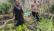 Permalink ke Giat Pengecekan Tanaman Hidroponik Perkebunan Bergizi