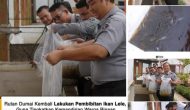 Permalink ke Rutan Dumai Kembali Lakukan Pembibitan Ikan Lele Guna Tingkatkan Kemandirian Warga Binaan