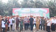 Permalink ke Dukung Program Swasembada Pangan, Kapolres Pelalawan Bersama Pemda Dan Masyarakat lakukan Penanaman Jagung Serentak.