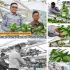 Hasil Program Pembinaan Warga Binaan, Rutan Dumai Kembali Panen Pakcoy Hasil Program Pembinaan Warga Binaan, Rutan Dumai Kembali Panen Pakcoy