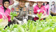 Permalink ke Polda Riau Ikuti Launching Program Pekarangan Pangan Lestari dan Laksanakan Kegiatan Ketahanan Pangan