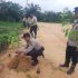 Jajaran Polsek Polres Dumai Melaksanakan Kegiatan Menanam Bibit Pohon Secara Serentak