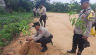 Permalink ke Jajaran Polsek Polres Dumai Melaksanakan Kegiatan Menanam Bibit Pohon Secara Serentak