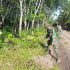 Semangat Gotong Royong Sagas TMMD Ke-124 KODIM 0320/DUMAI Bersama Warga, Perbaiki Akses Jalan Kekurahan Bukit Kayu Kapur Semangat Gotong Royong Sagas TMMD Ke-124 KODIM 0320/DUMAI Bersama Warga, Perbaiki Akses Jalan Kekurahan Bukit Kayu Kapur