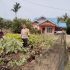 Bhabinkamtibmas Desa Muda Setia Sambangi Kebun Pekarangan Bergizi Mandiri