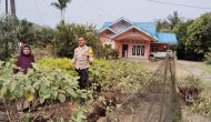 Permalink ke Bhabinkamtibmas Desa Muda Setia Sambangi Kebun Pekarangan Bergizi Mandiri