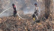 Permalink ke Kapolsek Tapung Pimpin Penanganan Pendinginan Kebakaran Lahan Gambut 10 Hektare di Tapung