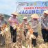 “Dari Kebun ke Ketahanan Pangan!” Kapolsek Kampar Kiri Panen Jagung di PT. Adi Mulya, Dukung Program Asta Cita Presiden