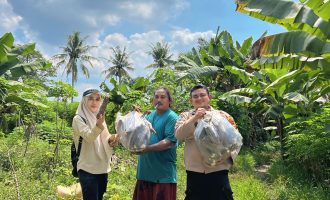 Permalink ke Polsek Kulim Monitoring Lahan Program Ketahanan Pangan di Mentangor