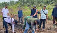 Permalink ke Polsek Kuindra Turun ke Lahan, Jagung Desa Teluk Dalam Jadi Simbol Semangat Swasembada Pangan