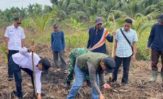 Permalink ke Polsek Kuindra Turun ke Lahan, Jagung Desa Teluk Dalam Jadi Simbol Semangat Swasembada Pangan