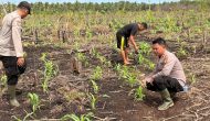Permalink ke Polsek Mandah ,Polres Inhil Siap Mendukung Program Asta Cita Presiden Republik Indonesia Melalui Ketahanan Pangan.