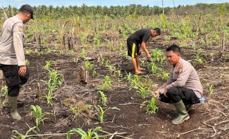 Permalink ke Polsek Mandah ,Polres Inhil Siap Mendukung Program Asta Cita Presiden Republik Indonesia Melalui Ketahanan Pangan.