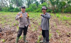 Permalink ke Dukung Asta Cita Ketahanan Pangan, Polsek Kuindra Cek Lahan Jagung Hibrida 2 Hektar di Tanjung Lajau
