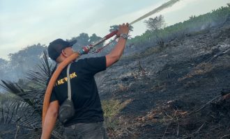 Permalink ke Dalam Hitungan Jam, TRC BPBD Inhil Taklukkan Dua Titik Karhutla
