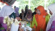 Permalink ke Katerina Susanti Tinjau Lomba Kuliner Inovatif Berbahan Kelapa dan Sagu, Dorong Pengembangan Produk Unggulan Daerah
