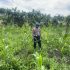 Polsek Kuindra Pantau Pertumbuhan Jagung Program Asta Cita di Desa Teluk Dalam Polsek Kuindra Pantau Pertumbuhan Jagung Program Asta Cita di Desa Teluk Dalam