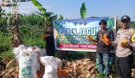 Permalink ke Polsek Tembilahan Berserta Bhabinkamtibmas AIPDA ALI MARDI.ikut Serta Laksanakan Penen Jagung Berserta Warga Seteba Permalink ke Polsek Tembilahan Berserta Bhabinkamtibmas AIPDA ALI MARDI.ikut Serta Laksanakan Penen Jagung Berserta Warga Seteba